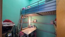 Haig Court (D15), Condominium #639463921